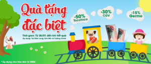 Tang qua me ly tet vui het y 276